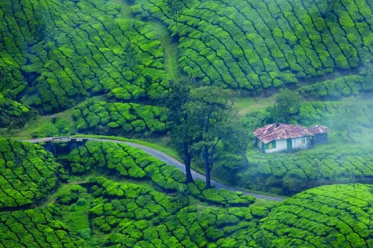 Kerala Tourism